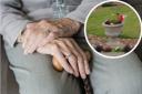 Frightened - An elderly woman is left feeling 'out of control' as she had two stone planters stolen