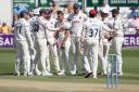 Big effort - Essex celebrate taking another wicket in their big win over Middlesex