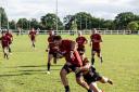 Gripping stuff - Colchester Rugby Club take on Letchworth