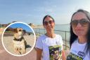 Fundraiser - Lena Scanu her sister Trish want to walk 200 miles in Milo's memory and raise funds for the RSPCA clinic in Colchester