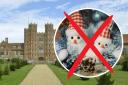 Event - the Essex County Christmas Fair has been cancelled