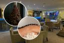 Initiative - people who recycle their Christmas trees with St Helena Hospice could win a stay at the Stoke by Nayland Resort
