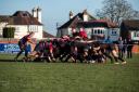 Scrum down - Colchester Rugby Club were victorious over a determined Tring side