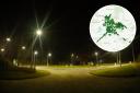 Savings - a council has saved thousands since the installation of LED streetlights