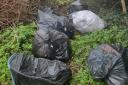 Dumped - rubbish bags strewn across the public space behind Holt Road in Colchester