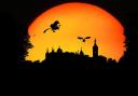 There are a number of Halloween events taking place at castles in Essex this year (Canva)