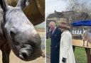 King Charles and Queen Consort Camilla unveil the name of Colchester Zoo's baby rhino
