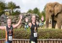 Marathon - Colchester Zoo 10k marathon will take place this weekend