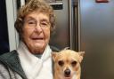Worried – Mrs Hastilow (pictured with her daughter's dog Lily) could not contact her family for six days because of the broken BT line