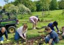 Community - Level Best Volunteers planting in the Blossom Circles