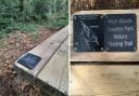 Interactive - High Woods Country Park launched new 'educational' trail