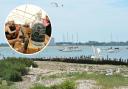 No chance - plans for an annual festival in West Mersea have been rejected