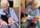 Cats - Residents of Woodland View Care Home were able to spend time with some cute cats last weekend