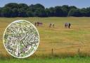 The sale of the Middlewick Ranges site is to be debated in parliament