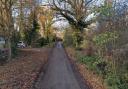 Road - a Street View image of Solid Lane in Doddinghurst where the  animal bodies have reportedly been found