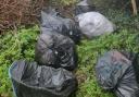 Dumped - rubbish bags strewn across the public space behind Holt Road in Colchester