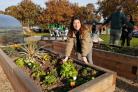 Community garden opens at new £2.2m medical centre in Clacton