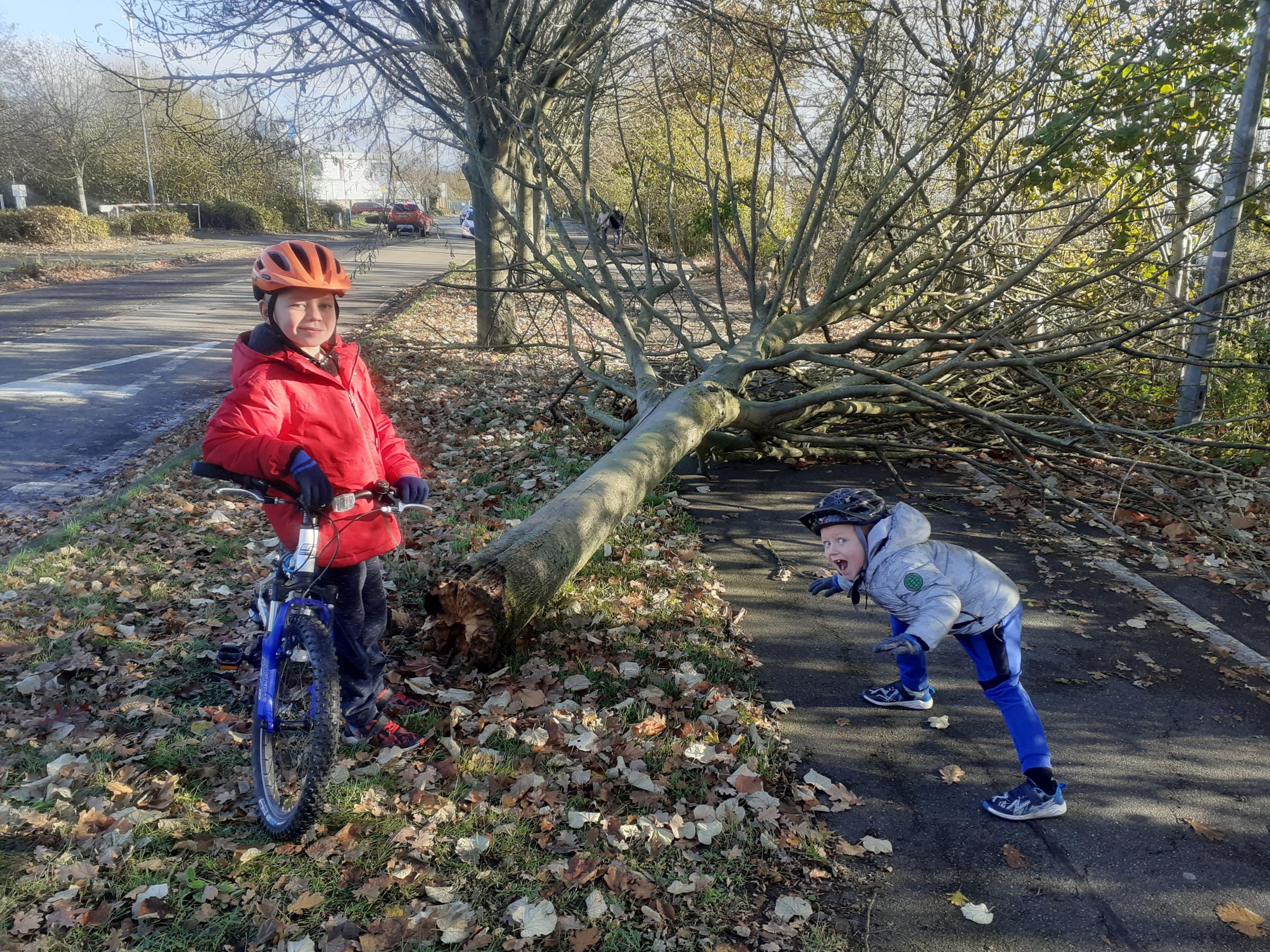 Storm Arwen: Heavy winds batter Colchester - Vimarsana News
