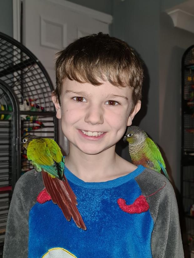 Gazette: Charlie's son Saxon Carney, 9 with Dickie and Gremlin, two abandoned green-cheeked conures