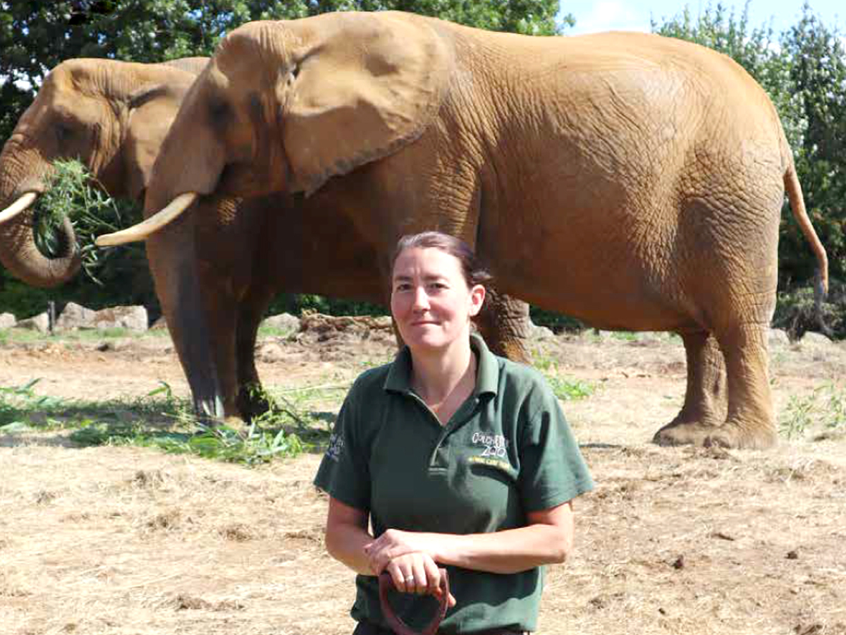 Dedicated - Claire Bennett has cared for Colchester Zoos elephants for almost 20 years and has loved every second Picture: Colchester Zoo