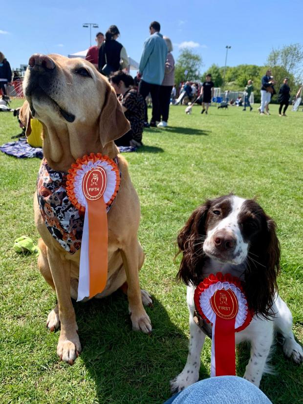Gazette: Top performers - Tara and Willow with their rosettes