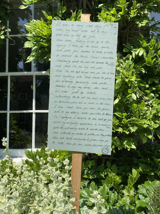 Gazette: Save it - Becky's daughter-in-law told the story of the plant in a poem 