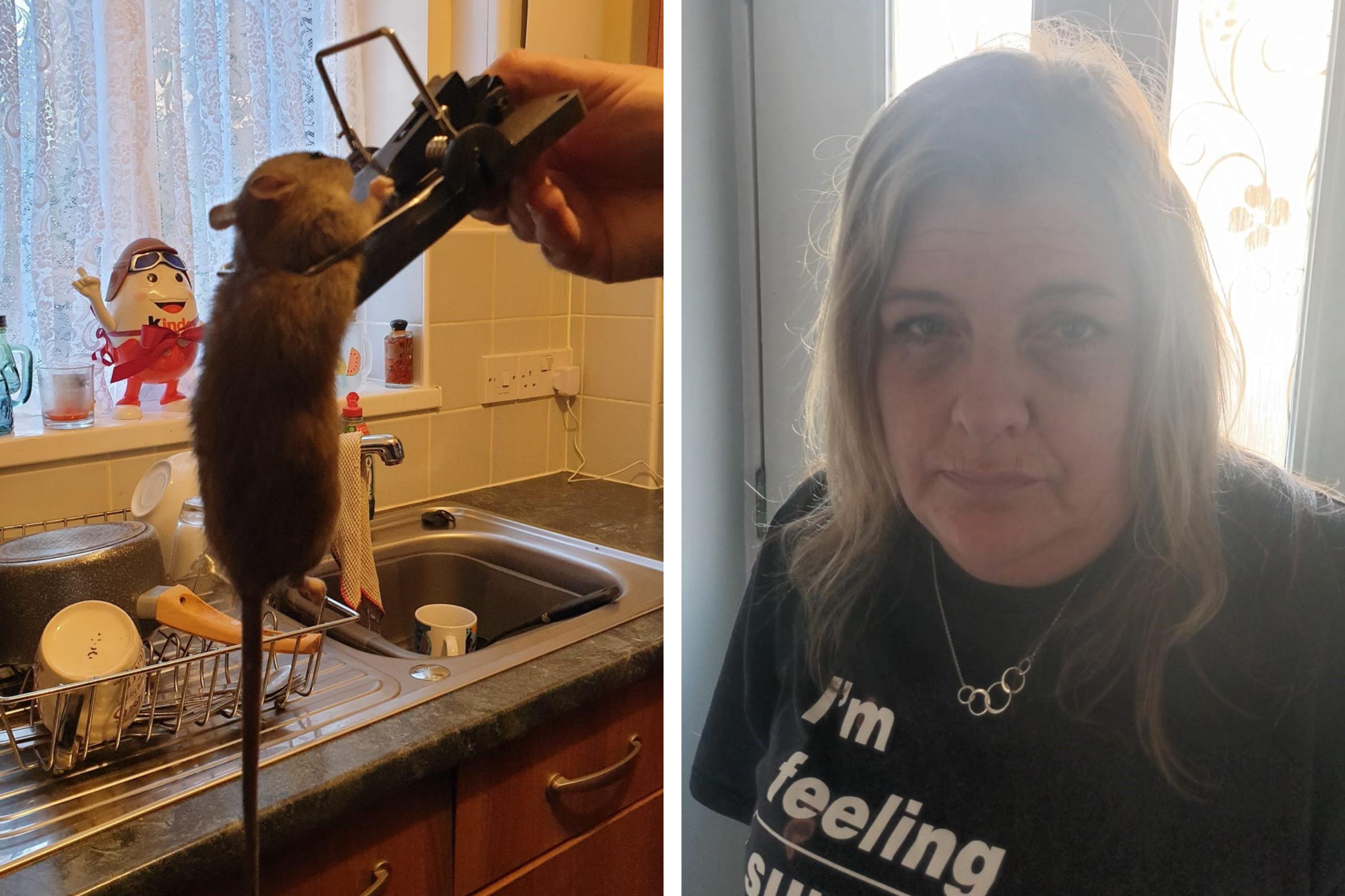 Colchester woman says her home has been  invaded by rats