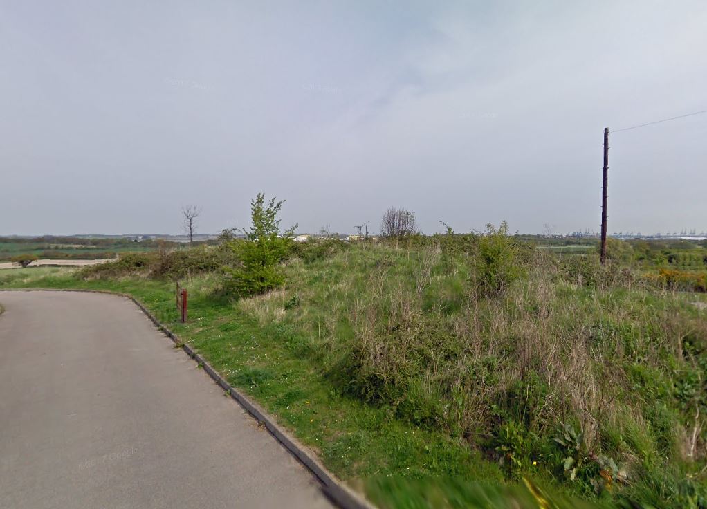 Firm to plant 400 trees in Dovercourt as part of major development