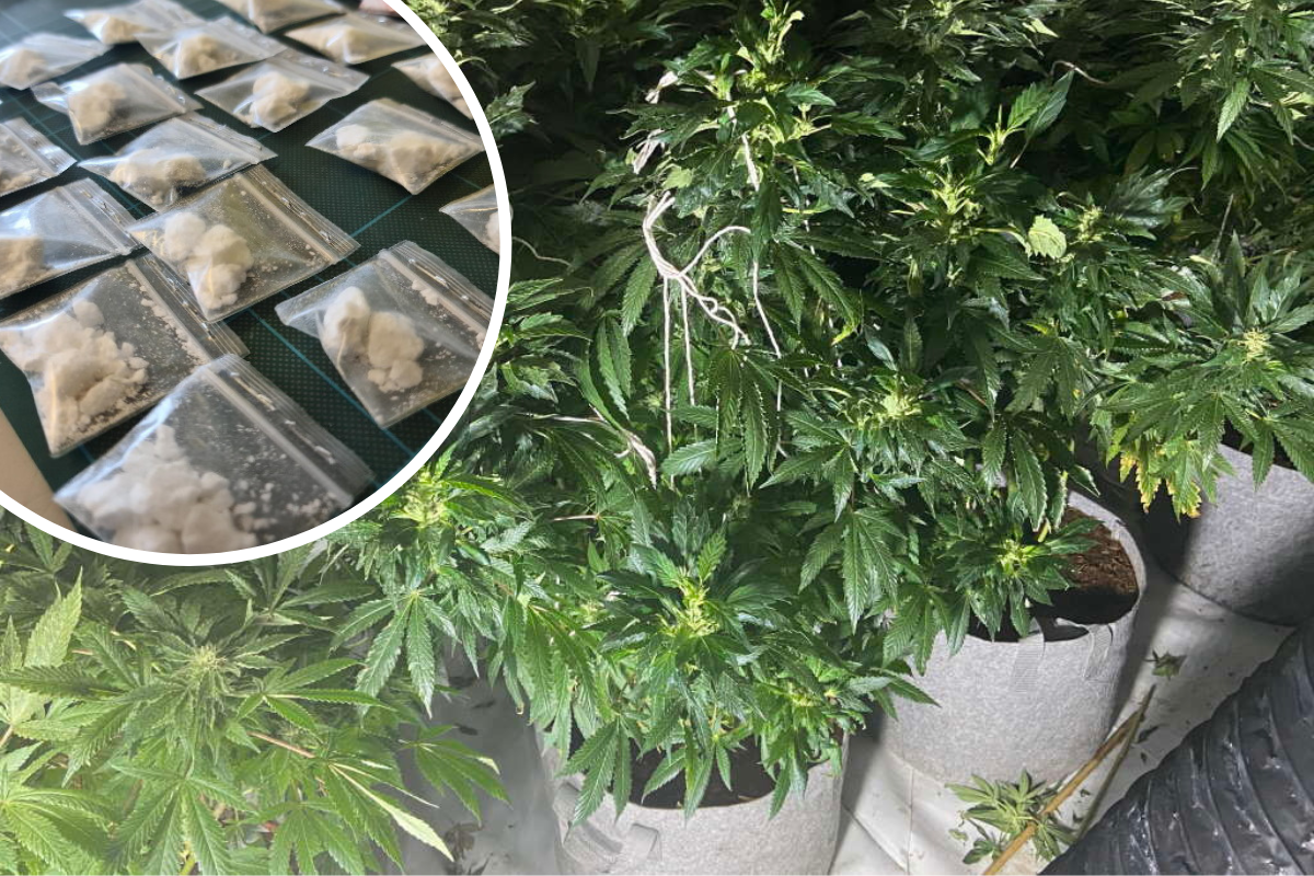 Essex Police seize £350,000 drugs as they target gangs - Vimarsana News