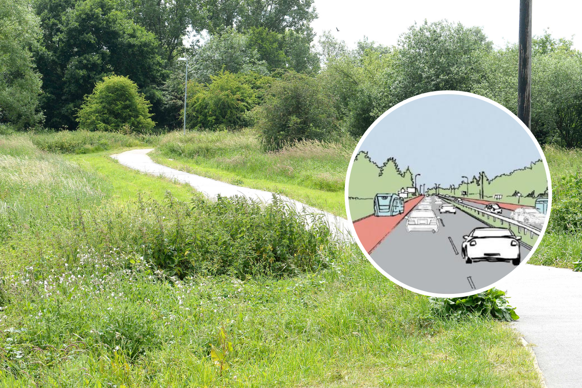 Salary Brook spared development from border garden community - Vimarsana News
