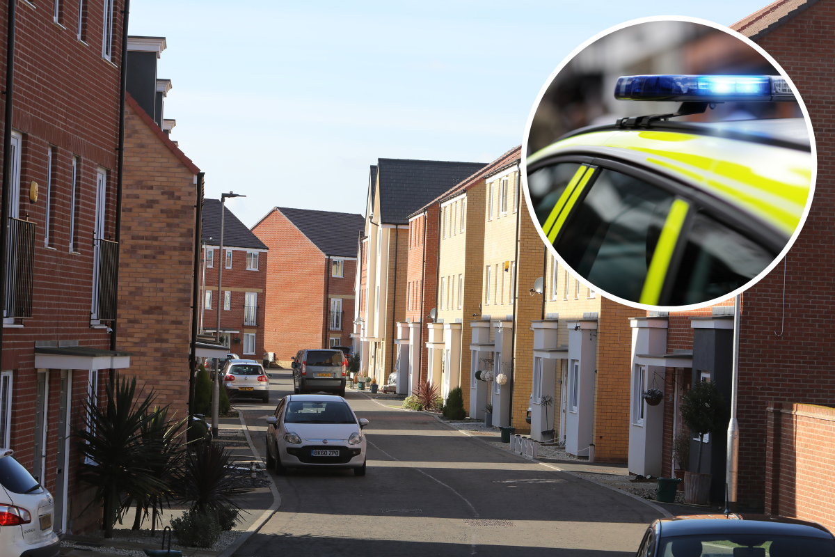 Stanway and Ilford home raids see Jordan Powell, 23, charged - Vimarsana News