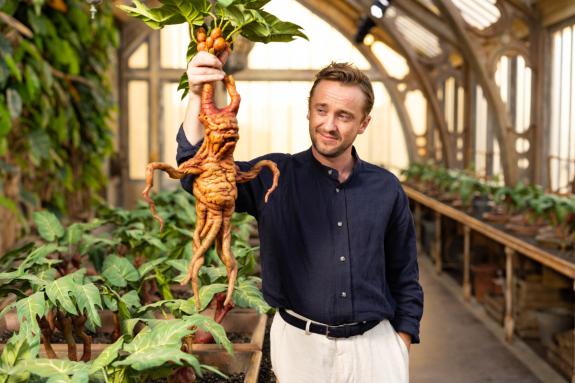Gazette: Tom Felton has been linked to the role of Lucius Malfoy in the new Harry Potter TV series. Gazette: Tom Felton has been linked to the role of Lucius Malfoy in the new Harry Potter TV series.