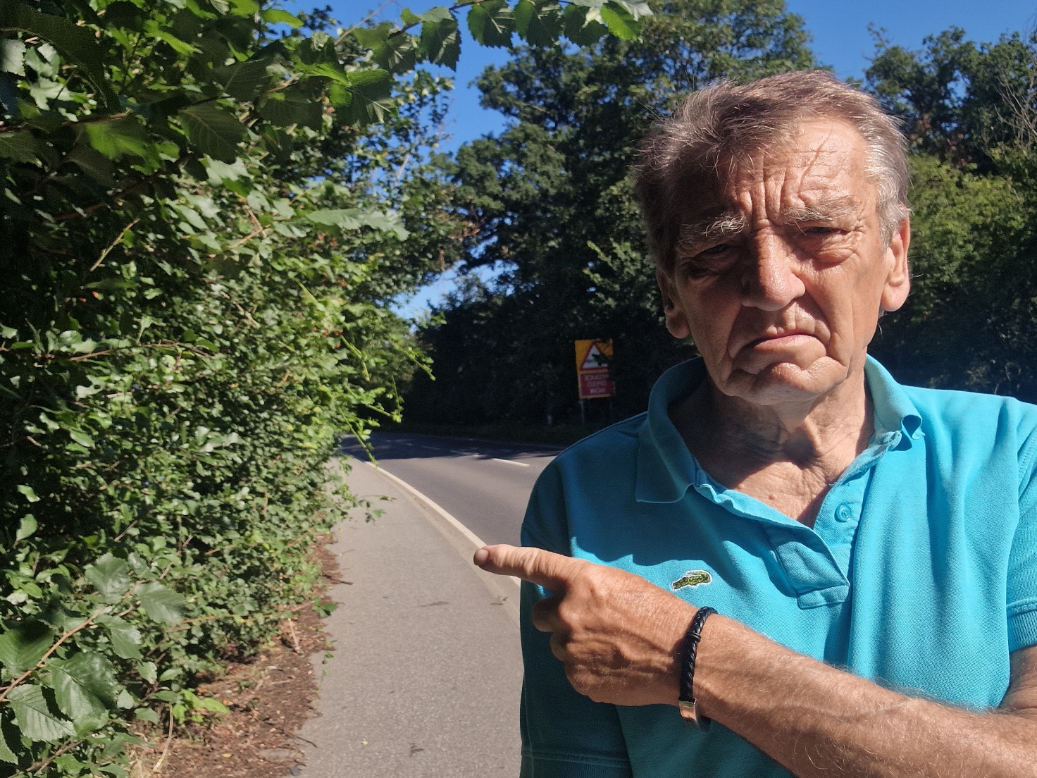 Overgrown plants cause 'dangerous' walk to Colchester schools - Vimarsana News