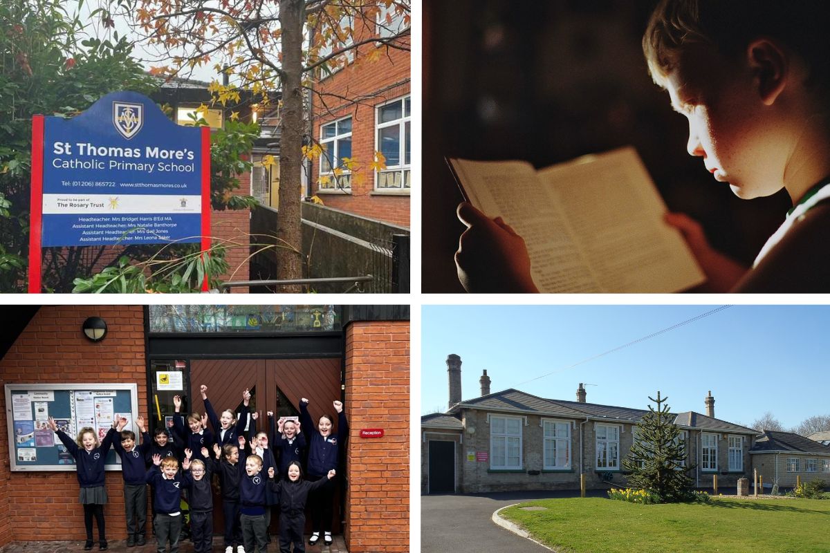 Primary School performance data: Colchester schools ranked - Vimarsana News