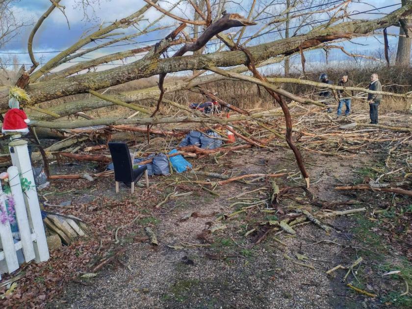 Storm Pia: Two fallen trees cause near misses in Great Tey | Gazette 