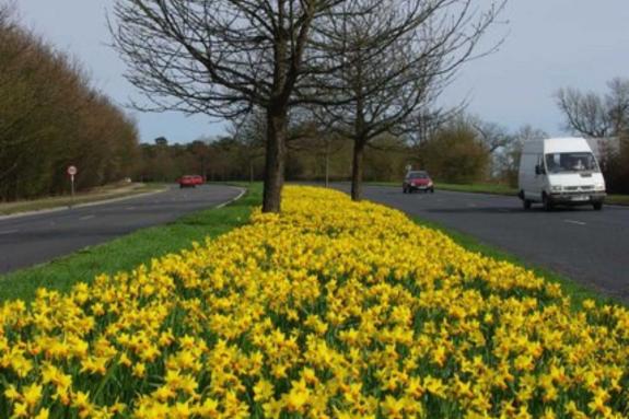 Gazette: Delays - roadworks on Clingoe Hill could cause months of traffic chaos Gazette: Delays - roadworks on Clingoe Hill could cause months of traffic chaos