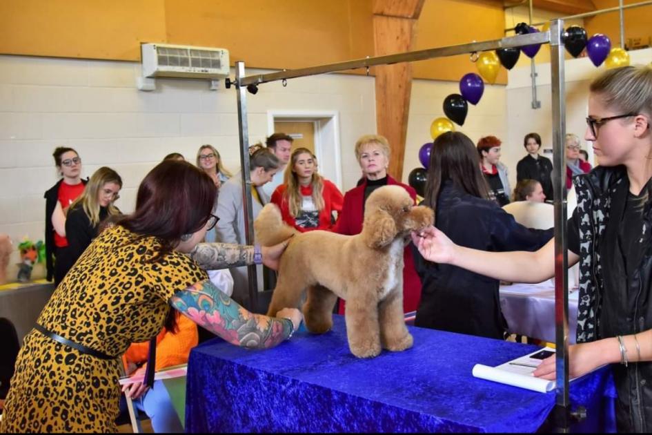 Dog grooming competition hosted at Marks Tey Parish Hall | Gazette 