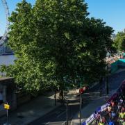 The Ride London route went past Braintree (Photo Credit: Press Association)