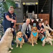 Therapeutic - Essex Therapy Dogs brightened everyone's day with their visit to the Stanway Garden Centre.