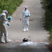 Probe - forensic officers investigate in Distillery Lane