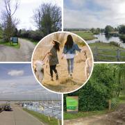 Country walks: a list of some of the best places to walk in Essex