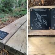 Interactive - High Woods Country Park launched new 'educational' trail