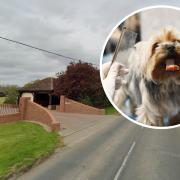 Plans: an application has been submitted for a doggy day care and grooming parlour in Tiptree