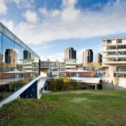University of Essex have launched the Centre for Global Health and Intersectional Equity Research