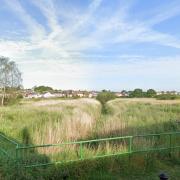 Beauty spot - Ferry Marsh Nature Reserve in Wivenhoe