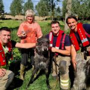 Stuck in the mud - Irish Wolfhound Wallace was reunited with owner Julie after fire crews freed him from thick mud