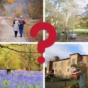 Colchester - Five of the best places for autumnal walks in and around Colchester (Image: Canva)