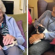 Cats - Residents of Woodland View Care Home were able to spend time with some cute cats last weekend