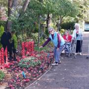 New - Stanway Green Lodge Residential Care Home, its residents, and primary school students have made a brilliant 'Remembrance Garden'