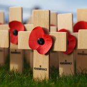Lest we forget - There are many Remembrance events happening this weekend across North Essex
